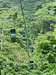 Seilbahn in den Regenwald - im Rainforst Park