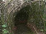 Bambusweg im Garten Lancaster