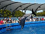 Im Seaquarium in Miami - Key West waren wir auch