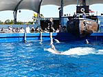 die Show war wirklich beeindruckend