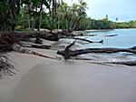 Stilleben - morgens am Strand