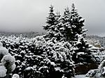am dritten Tag überraschte uns der Schnee bereits im Tal