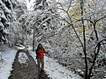 trotz dem Schnee machten wir uns auf den Weg zur Höllentalklamm