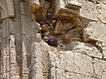 Kanonenkugel in der alten Festungsanlagen in Famagusta, dem türkischen Teil Zyperns