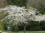 Bad Wildungen im April 2011