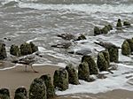 Strand und Nordsee in Westerland