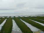 Auf der Rückfahrt von Sylt / Westerland nach Niebüll nach