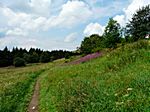 .. auf dem Weg zur Wasserkuppe