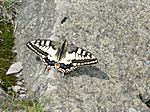 Eindrücke auf der Wasserkuppe