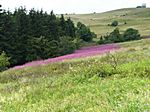 Eindrücke auf der Wasserkuppe