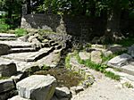 Fuldaquelle bei der Wasserkuppe