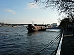 Blick auf den Rhein