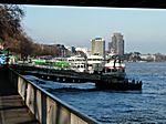 Blick auf den Rhein