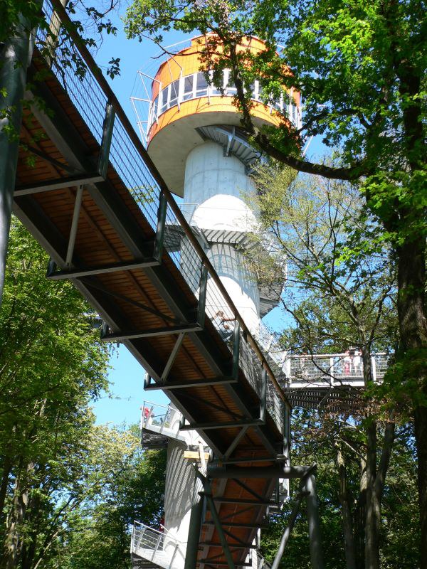 2006_001
