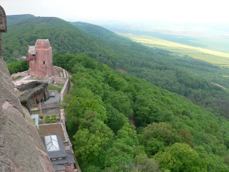 2007_006