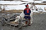 Nils - "DER Sami" auf dem Weg zum Nordkap
