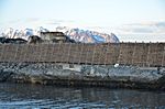 4. Tag - Im Hafen von SVOLVÆR sehen wir endlich richtig viel Stockfisch