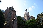 Stralsund - St. Marien Kirche am Neuen Markt. Wir waren auf diesem Turm!