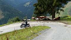 16: IMG_9936