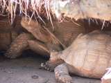 20_zoologico