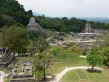 10 palenque